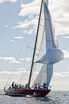 S/V American Eagle Spinnaker Hoist
